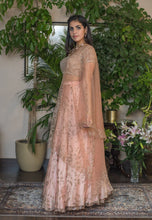 Load image into Gallery viewer, Peach lehenga with print and embroidery