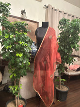 Load image into Gallery viewer, Dupatta in a burnt rust with zardozi booti
