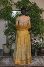 Load image into Gallery viewer, Mustard jal  embroidery lehenga ( price on request)
