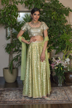 Load image into Gallery viewer, Lime green lehenga with mirror work
