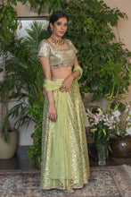 Load image into Gallery viewer, Lime green lehenga with mirror work
